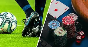 Discover the Excitement of Wagering with 77fb bet