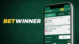 Discover the Thrills of BetWinner Casino Your Ultimate Gambling Destination Discover the Thrills of BetWinner Casino Your Ultimate Gambling Destination